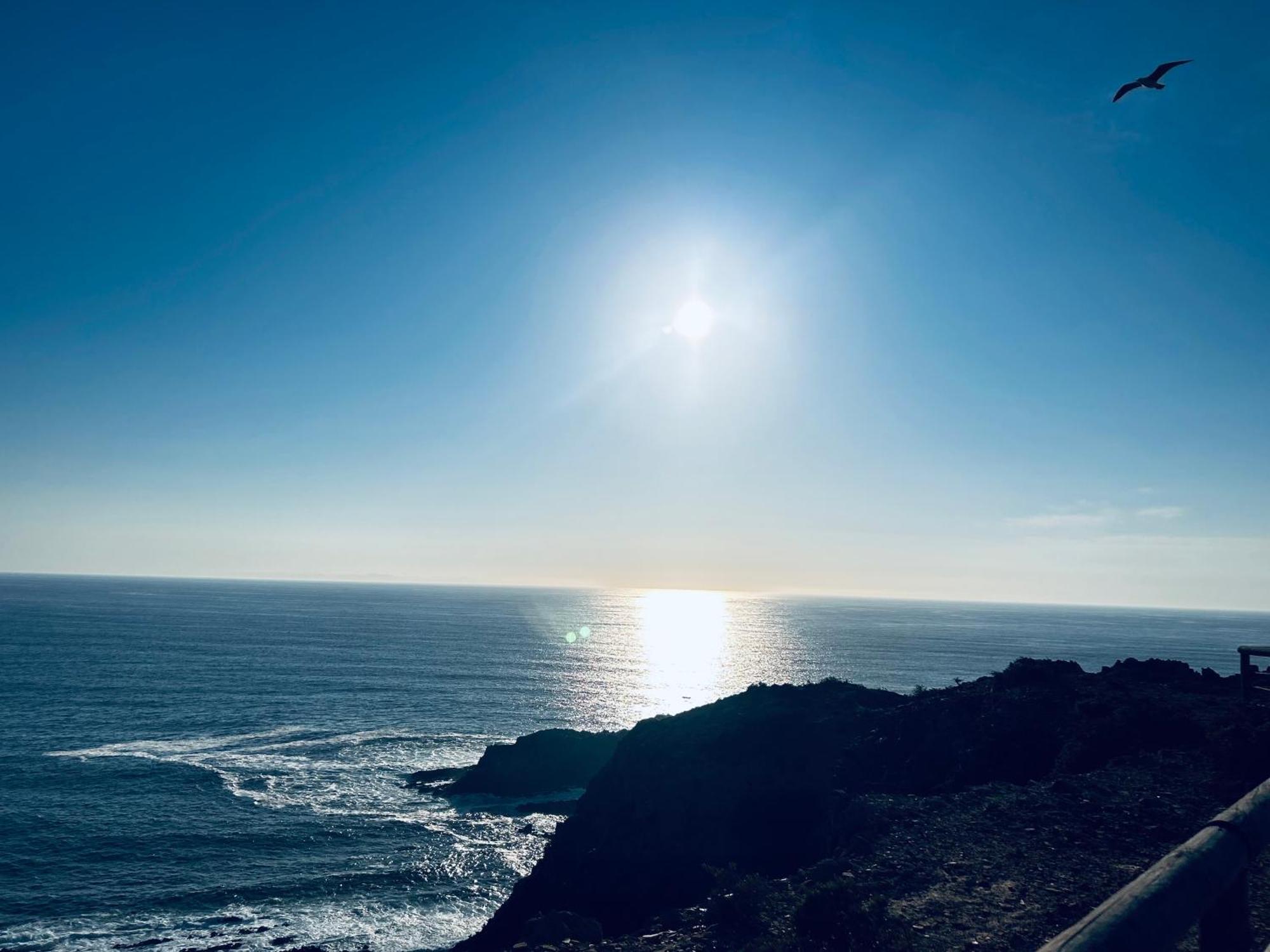 Casa Flora - Vale Da Telha - Nature - Surf & Sun Aljezur Bagian luar foto